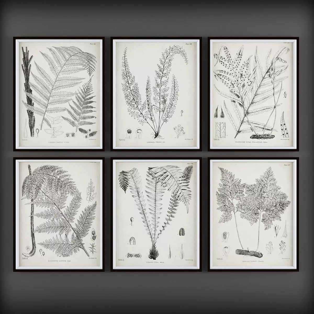 Picture Frames Low-poly 3D model_0