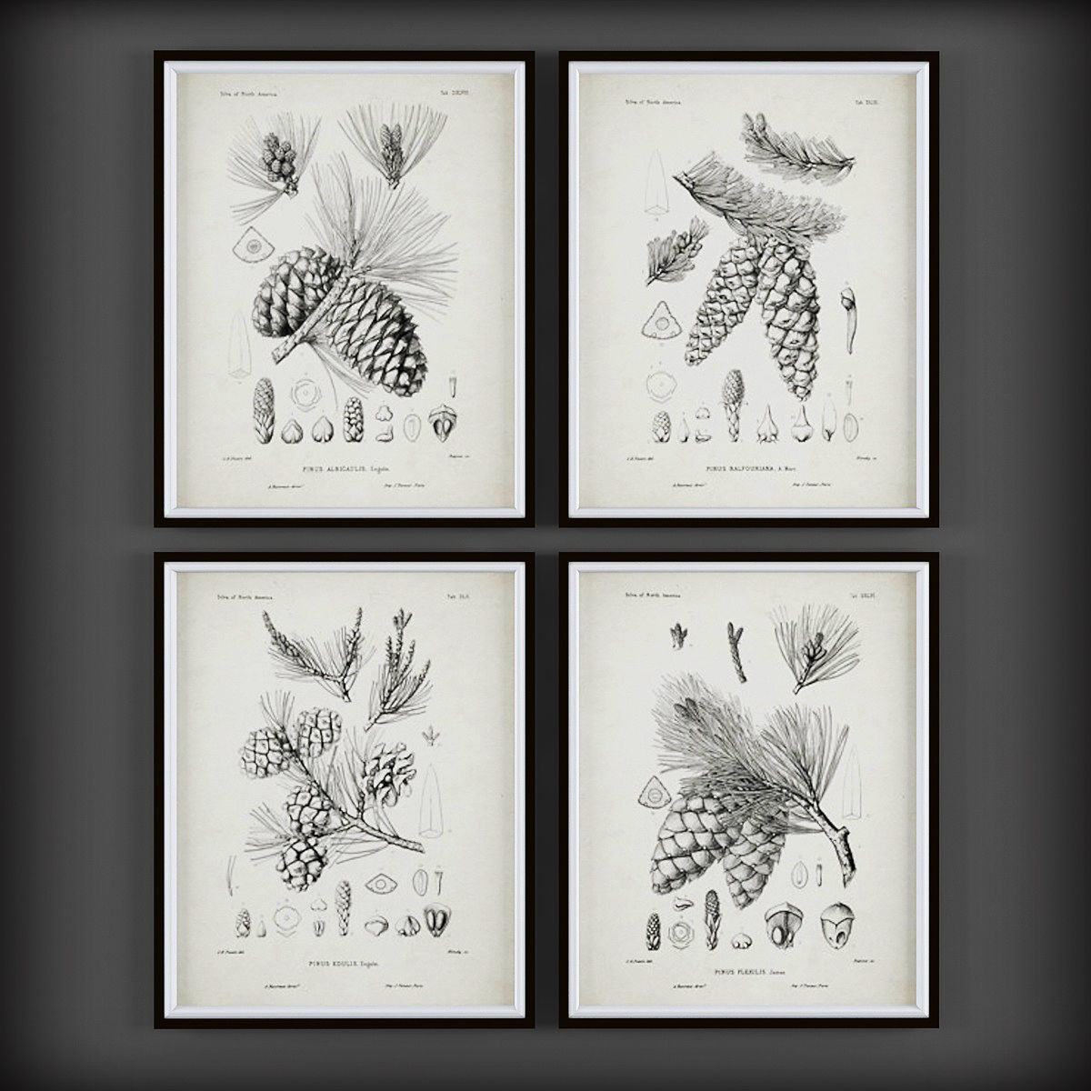 Picture Frames Low-poly 3D model_2