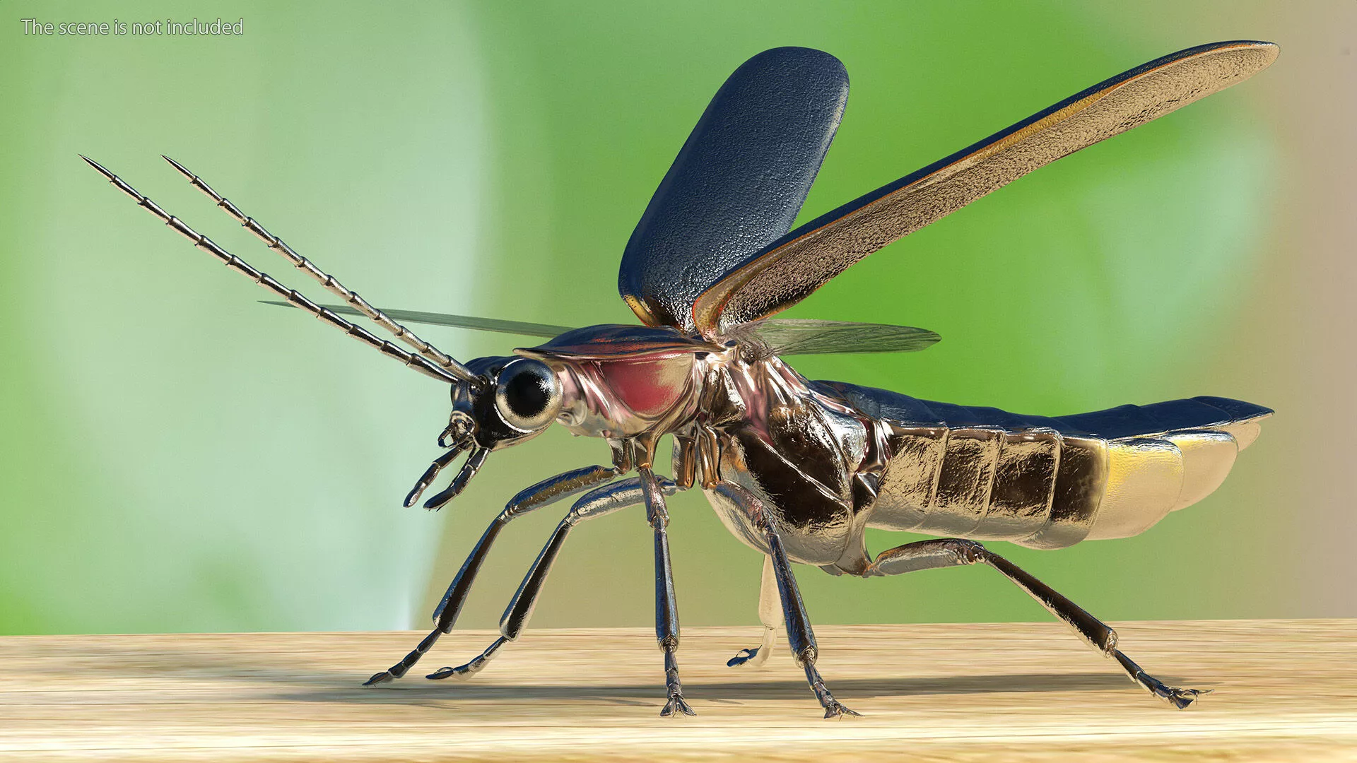 Eastern Firefly Rigged 3D model
