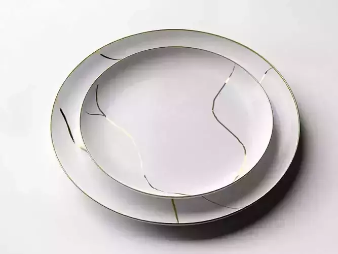 Shallow Plates