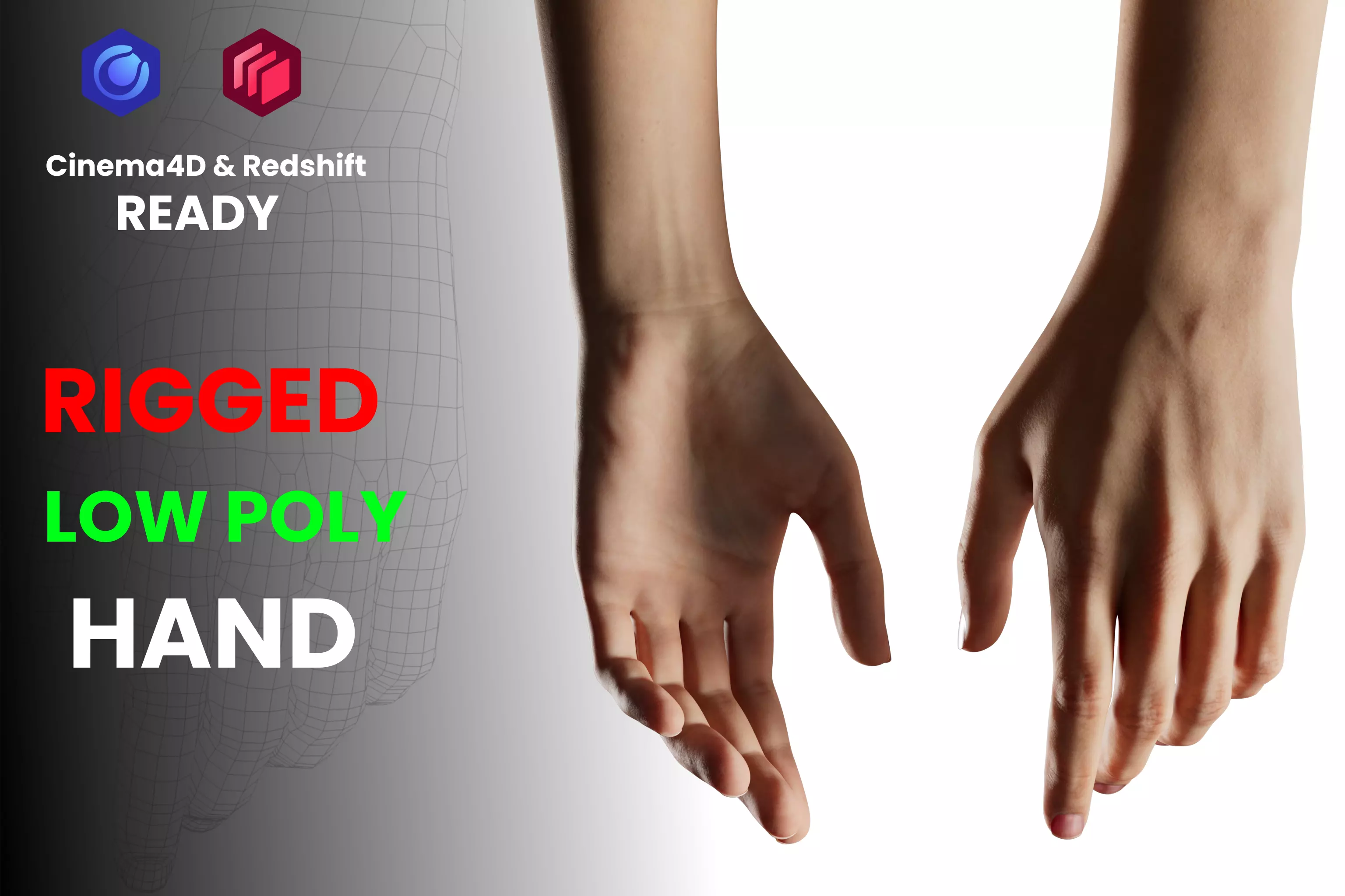 Realistic Human Hand High Quality 3D Model Cinema 4D Redshift Low-poly 3D model
