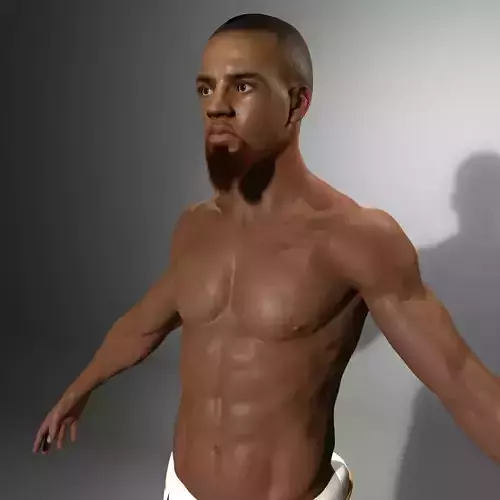 Capoeira Warrior Not Rigged