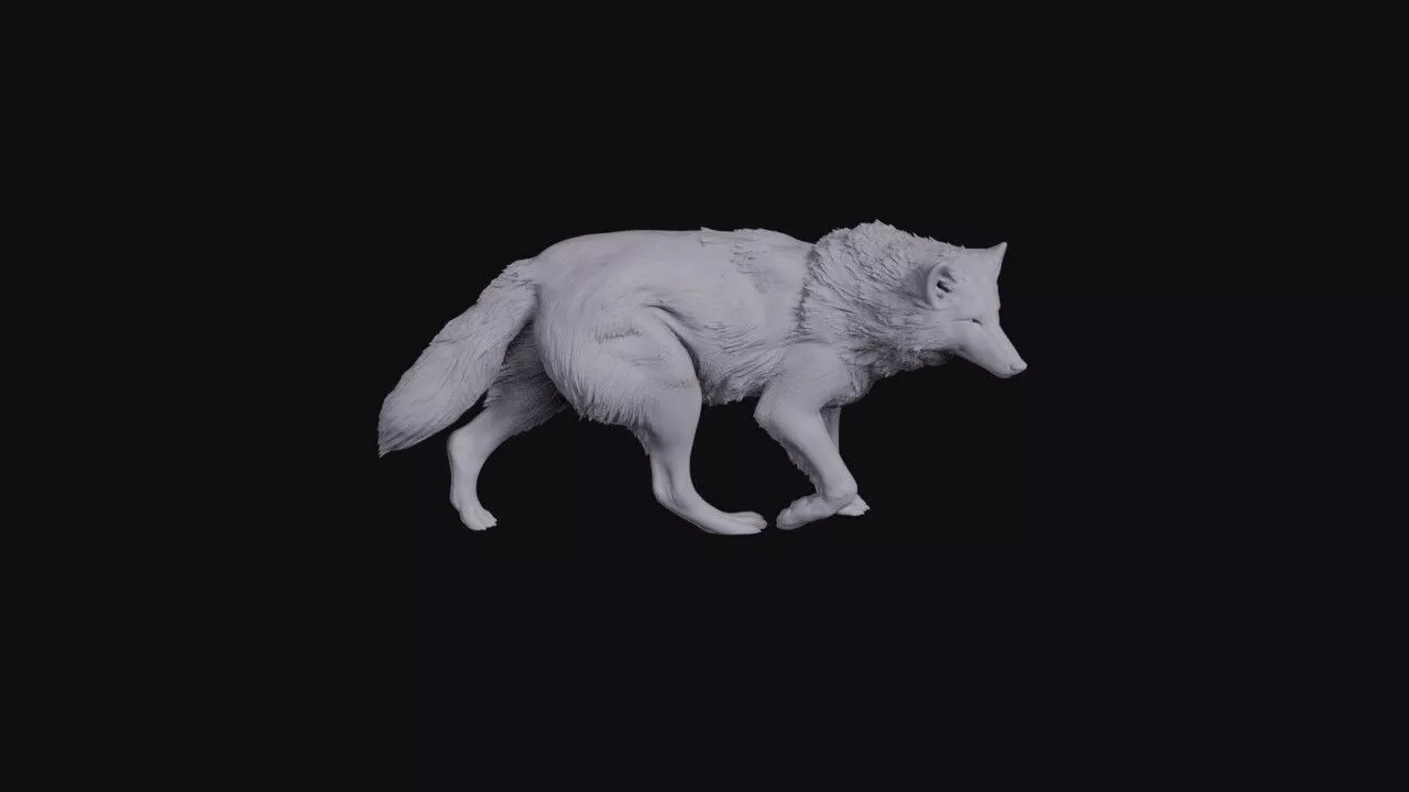 Wild Wolf 3D print model