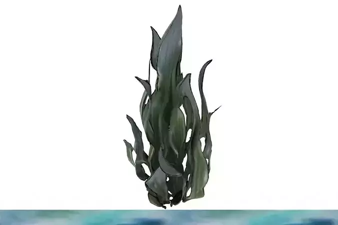 TOL Algae 003