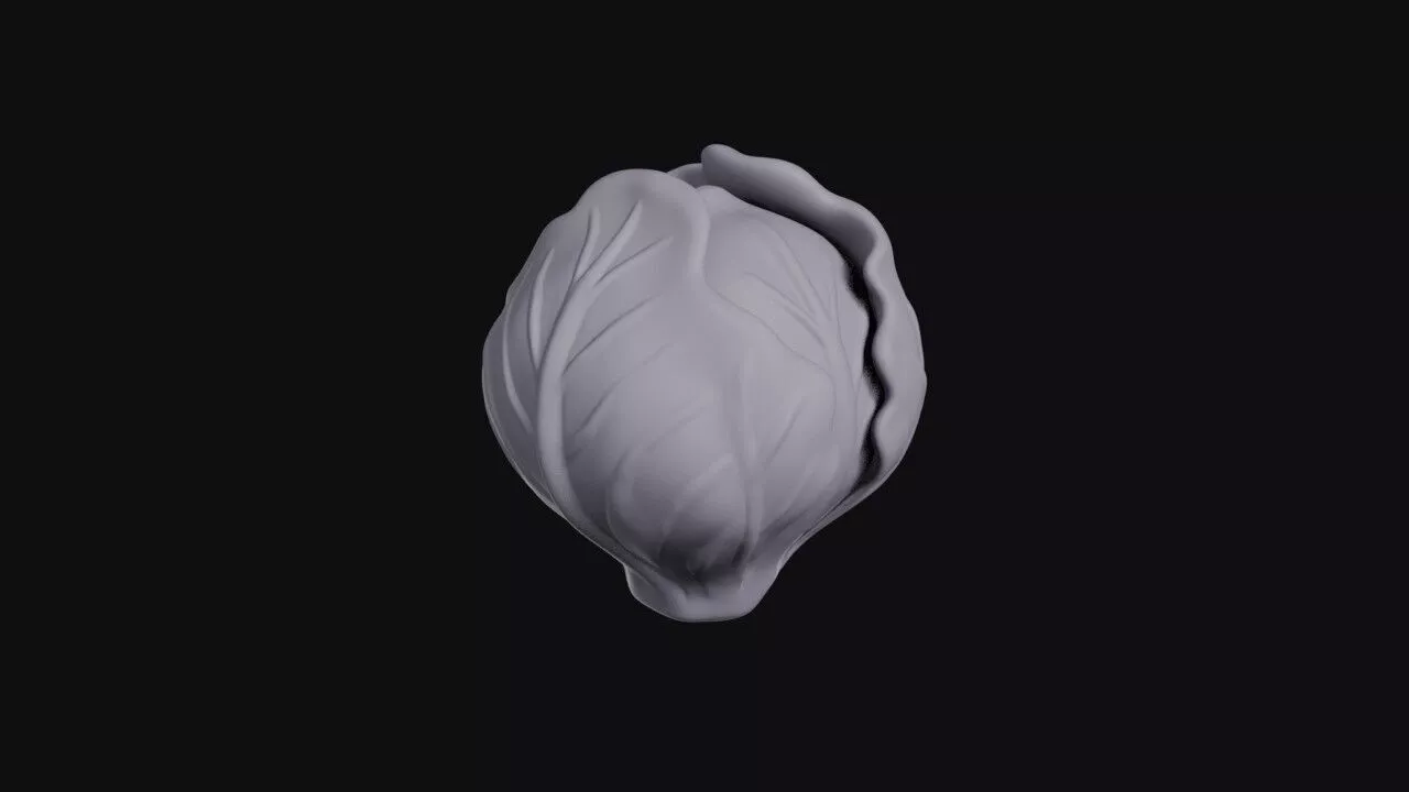 Cabbage 3D print model