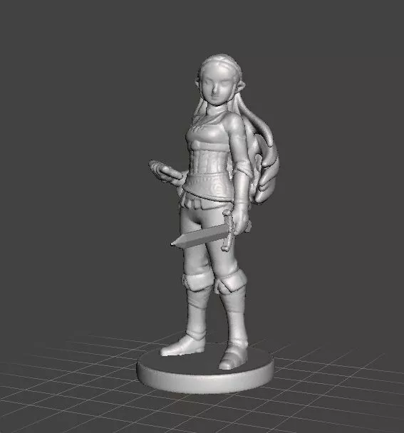 BOTW PRINCESS WITH SWORD MINIATURE MODEL FANTASY GAMES RPG DND 3D print model