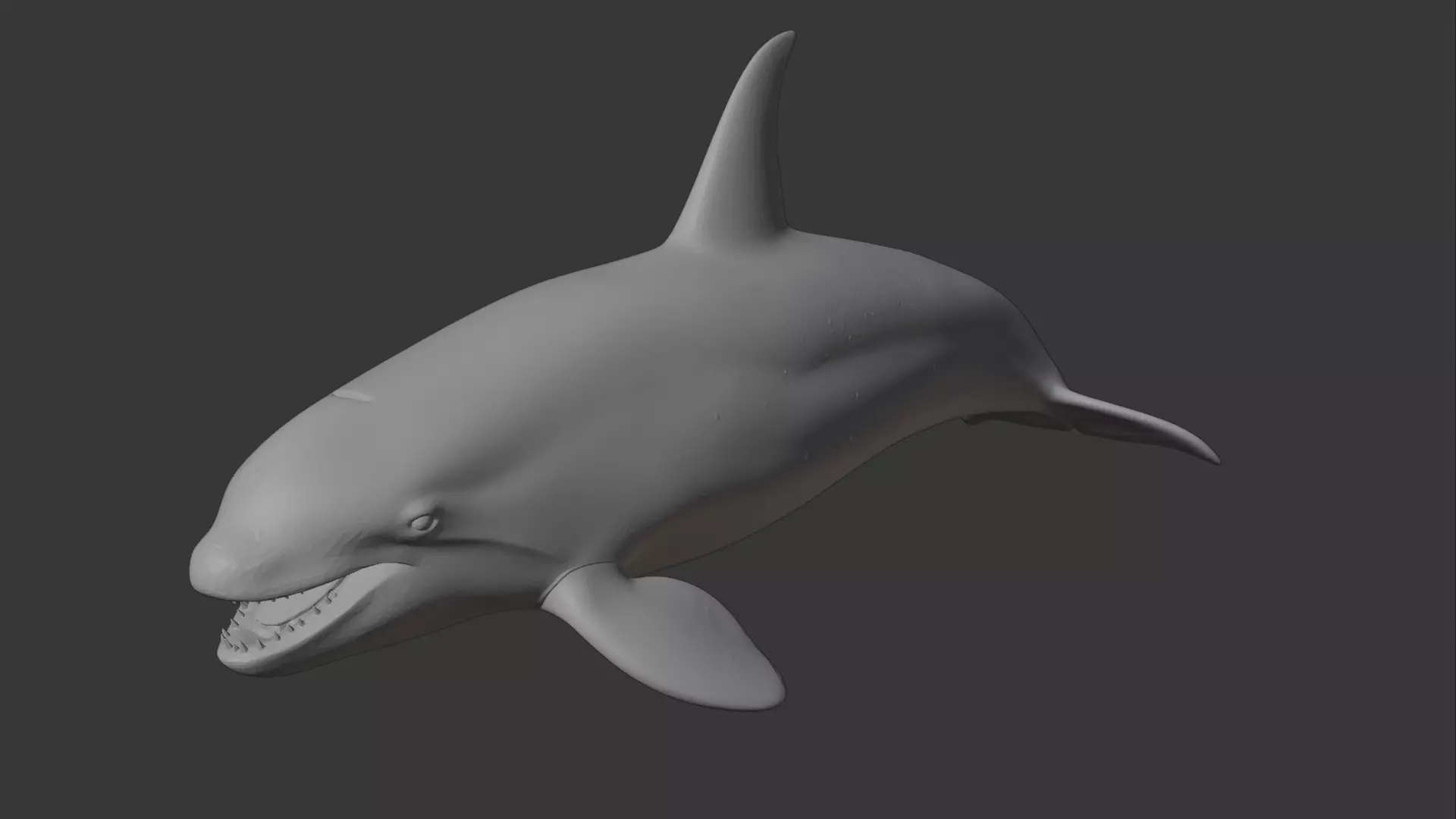 Realistic Orca Whale 3D Model Killer Whale Marine Animal 3D model
