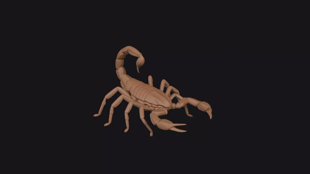 Scorpion 3D print model