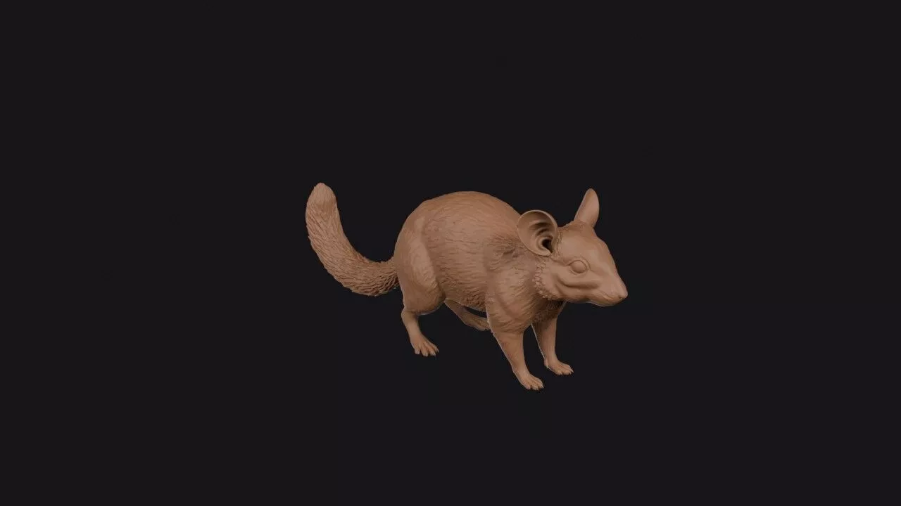 Packrat 3D print model