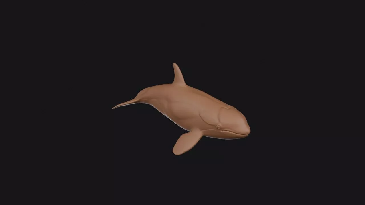 Orca 3D Model 3D print model
