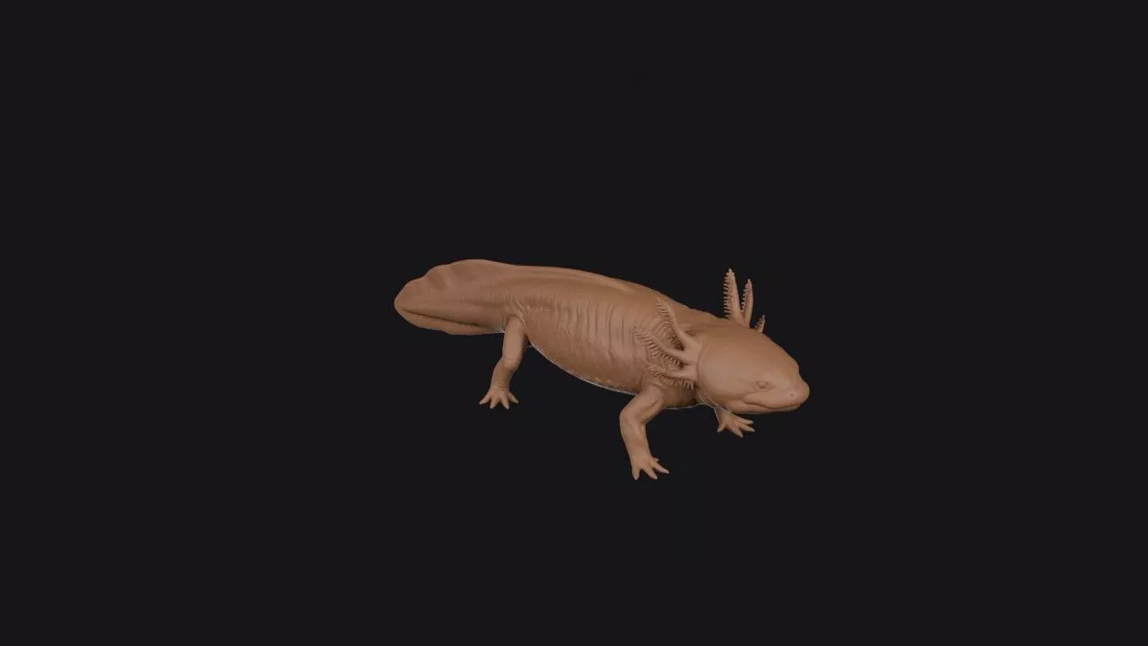 Mudpuppy 3D print model