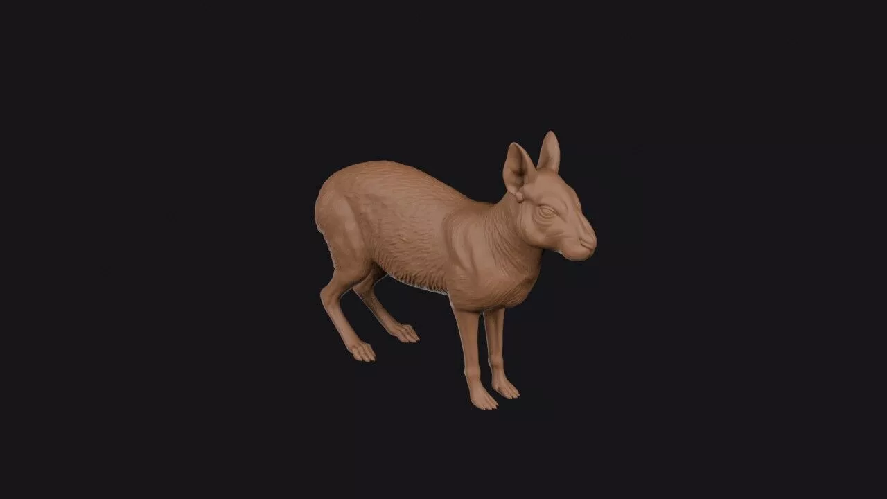 Mara 3D Model 3D print model