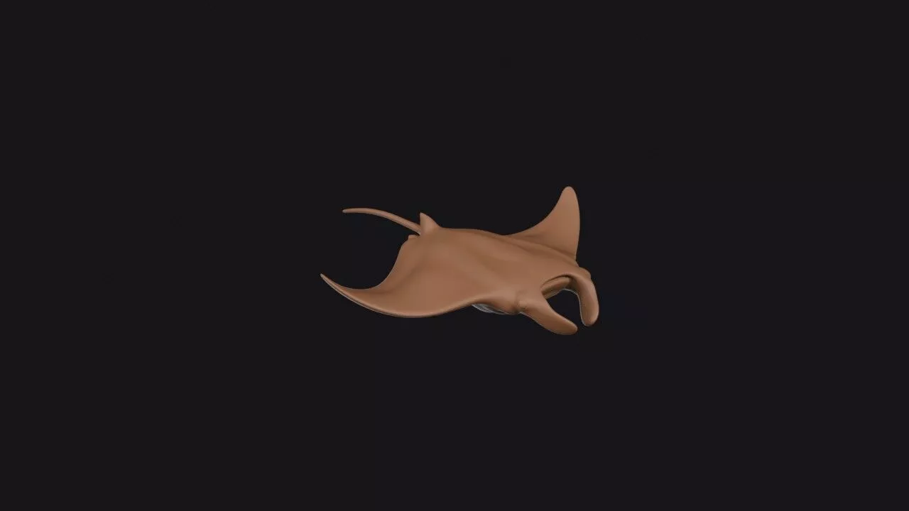 Manta Ray 3D print model