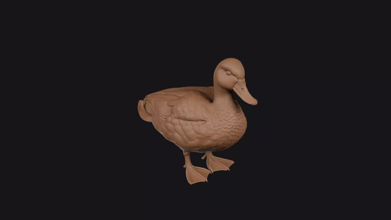 Mallard 3D print model