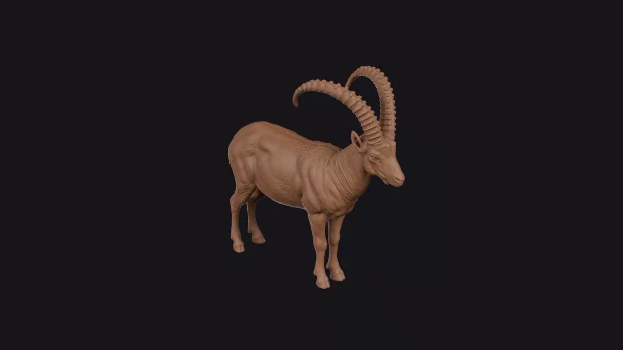 Ibex 3D Model 3D print model