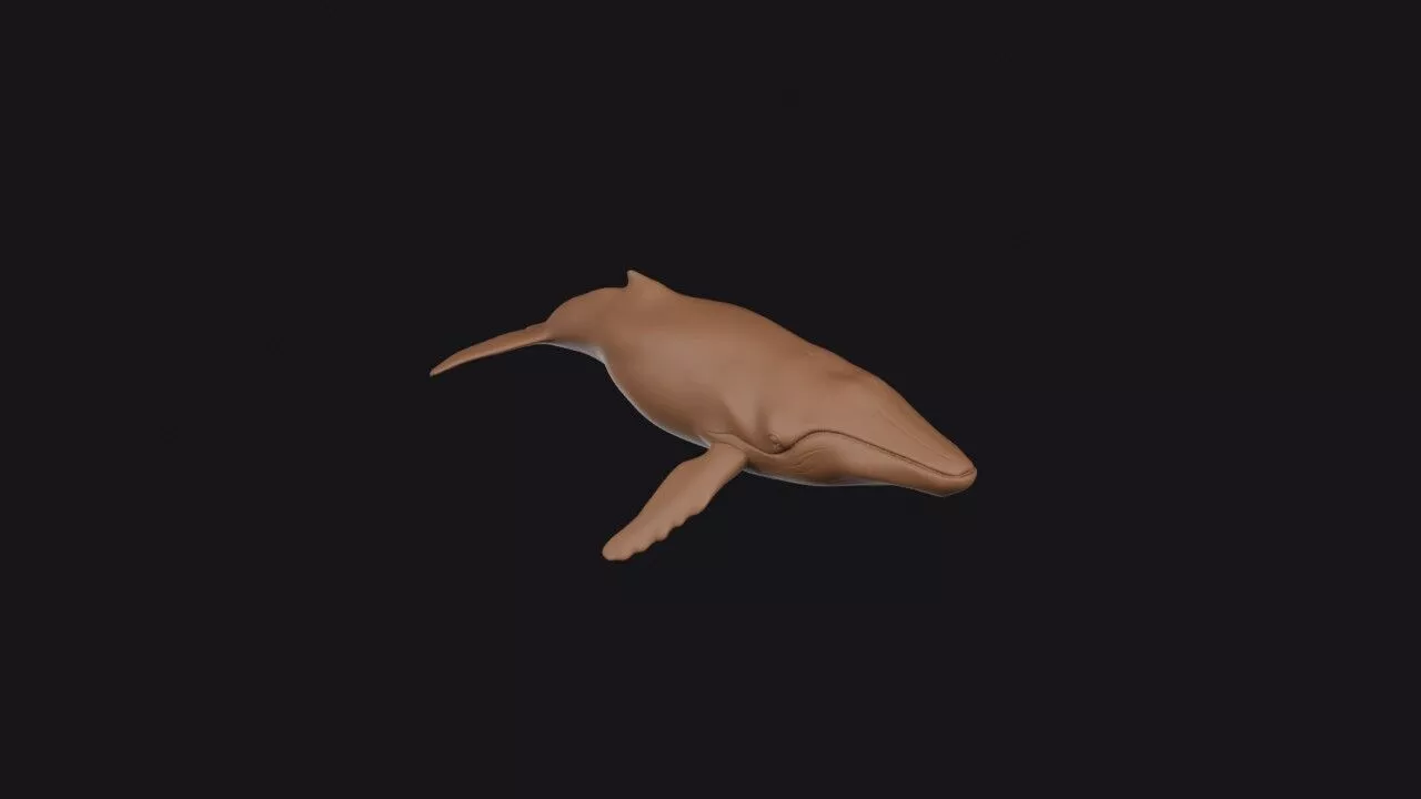 Humpback Whale 3D print model