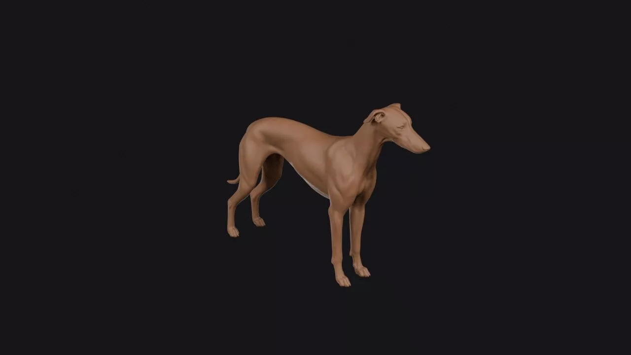 Greyhound 3D print model