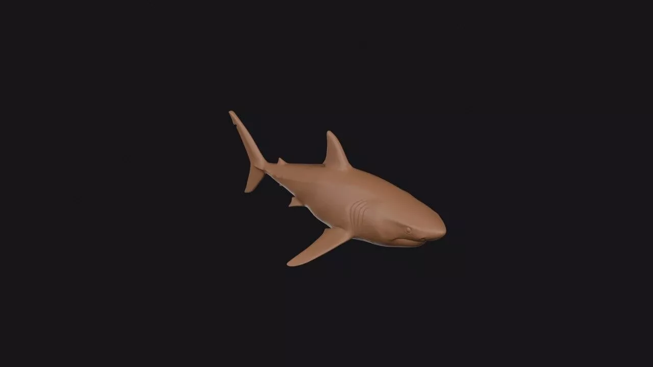 Great White Shark 3D print model