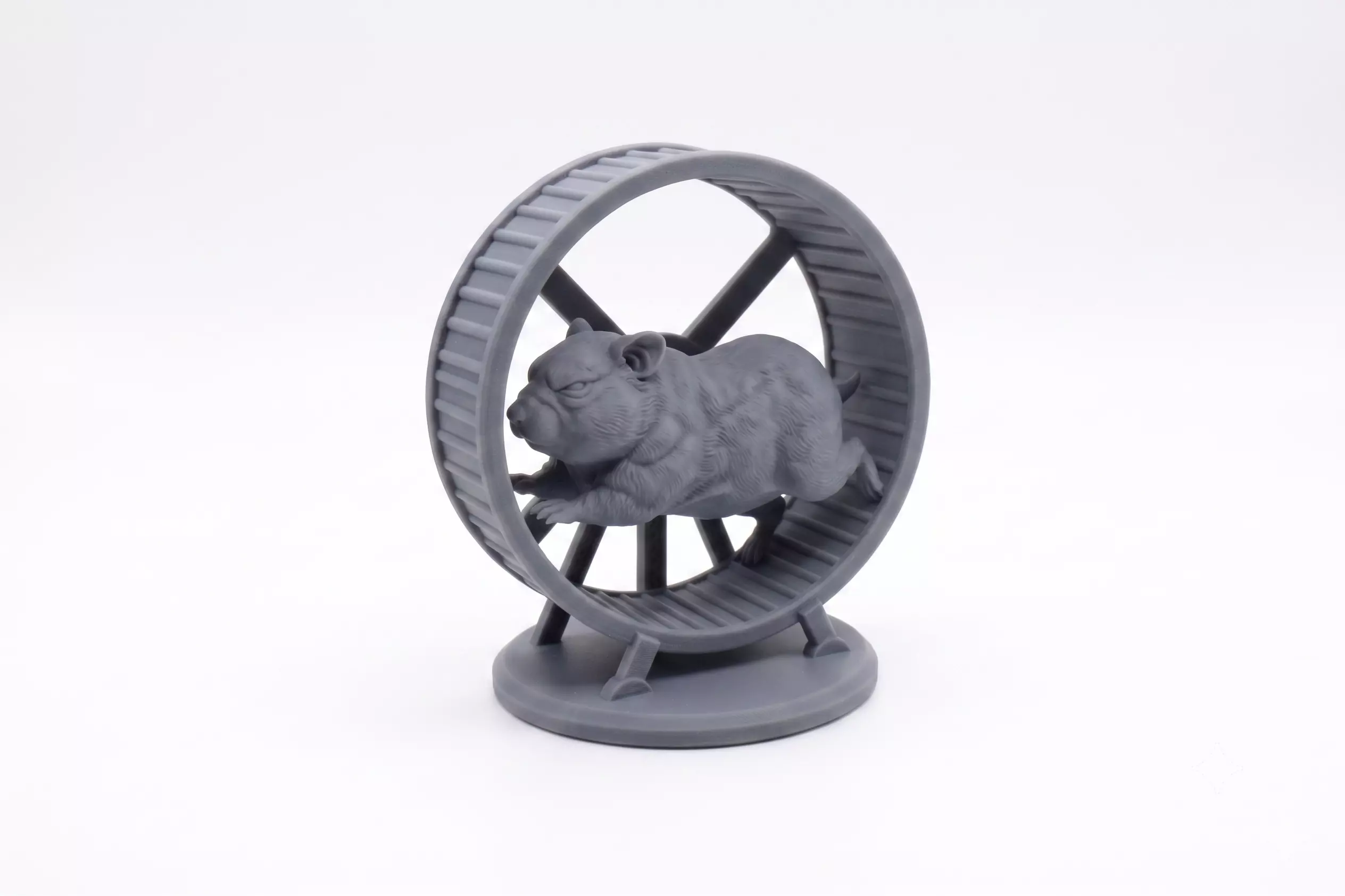 The mouse on the wheel 3D print model