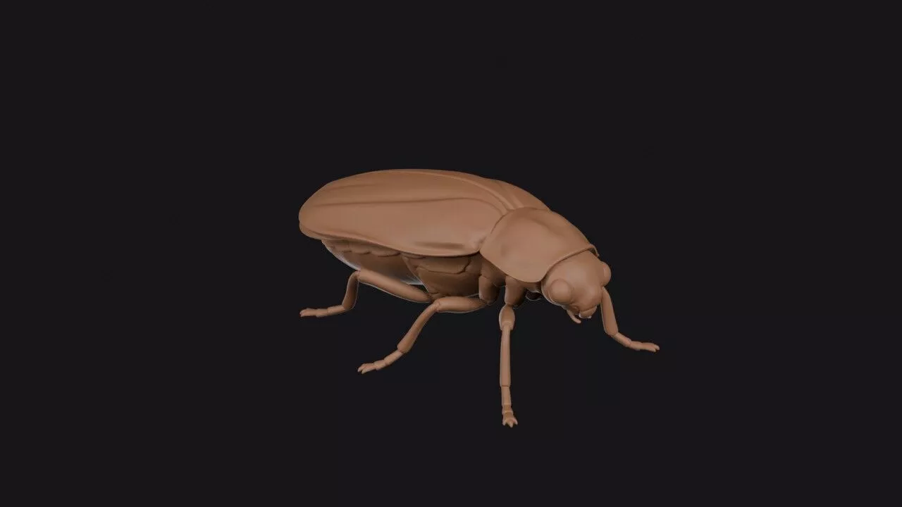 Firefly 3D print model