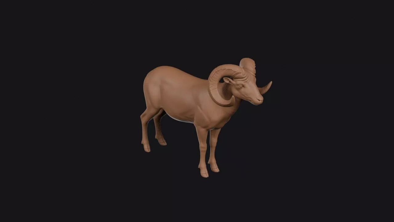 Dall Sheep 3D print model