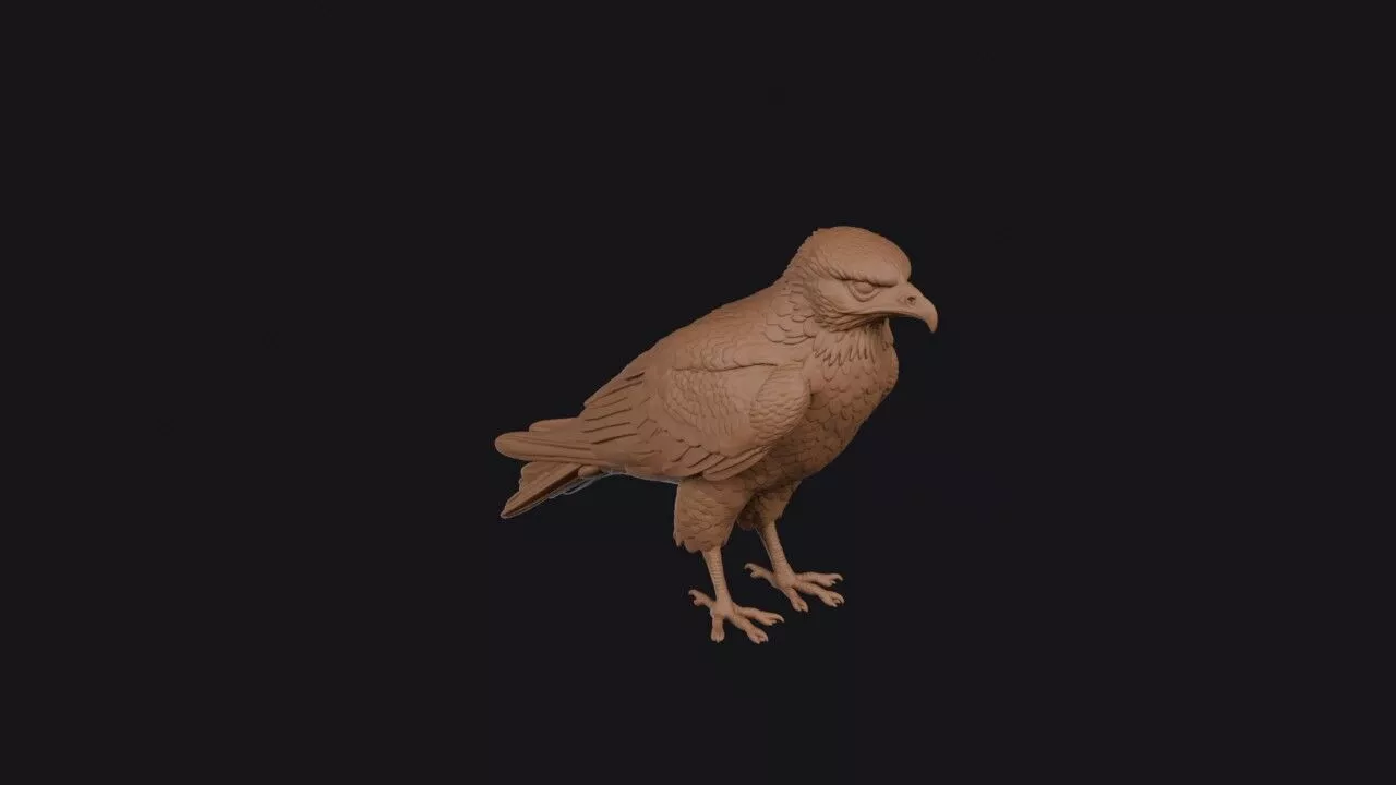 Common Buzzard 3D print model