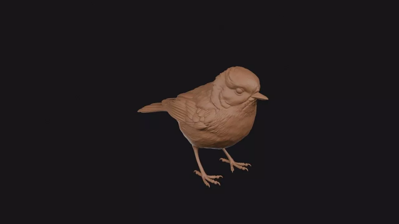 Coal Tit 3D print model
