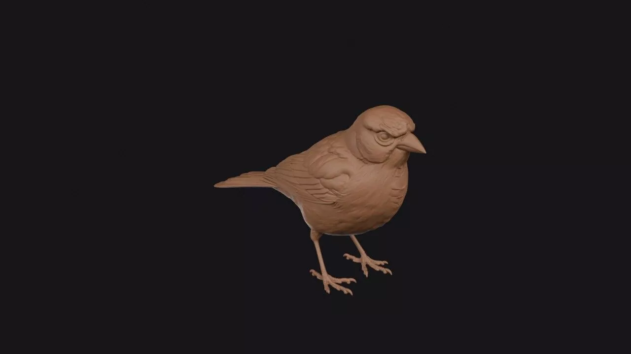 Chaffinch 3D print model