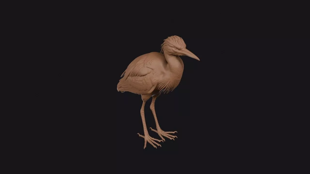 Cattle Egret 3D print model