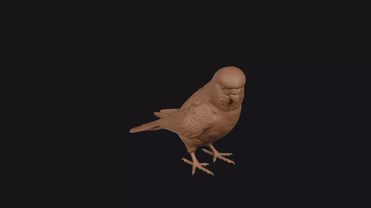 Budgie 3D print model