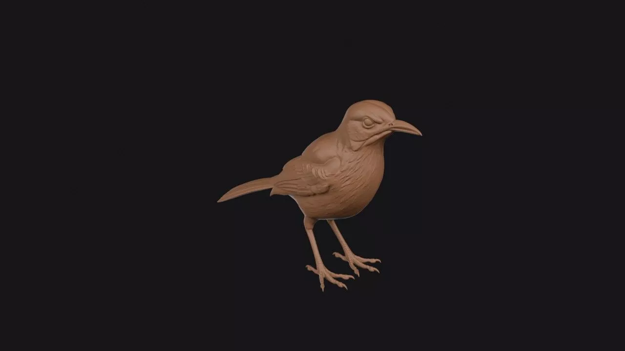 Brown Thrasher 3D print model