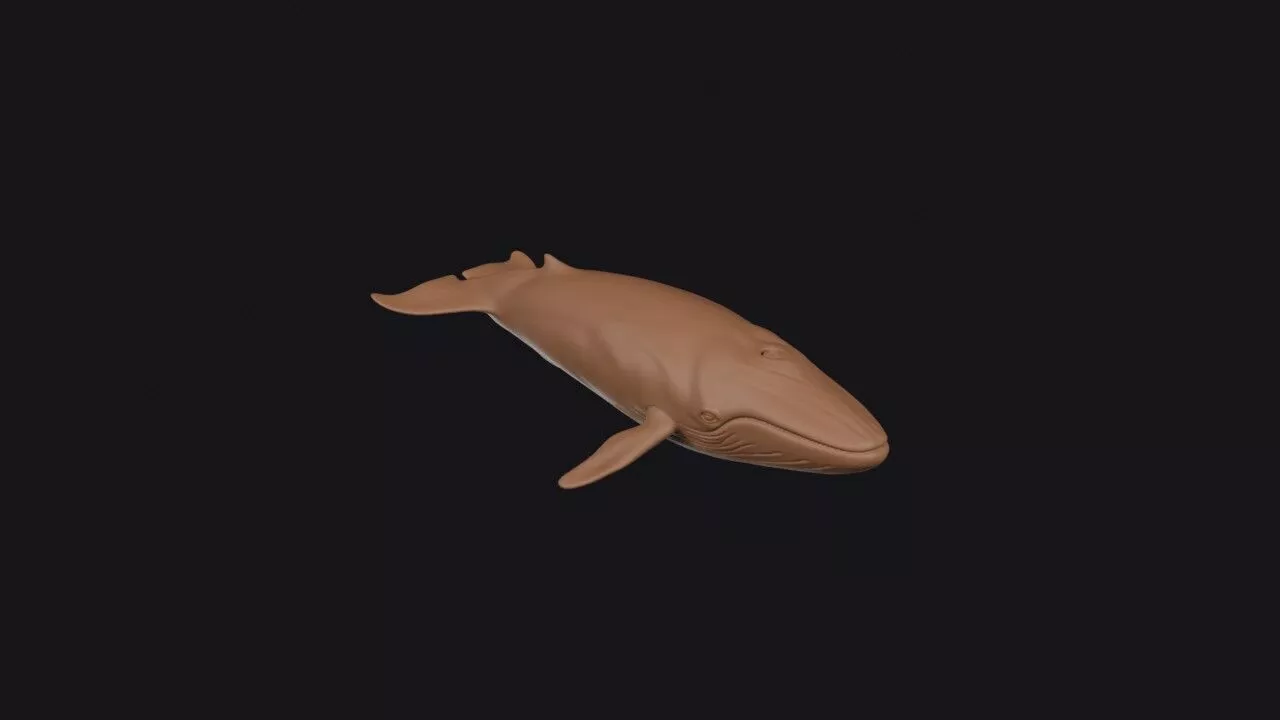 Blue Whale 3D print model