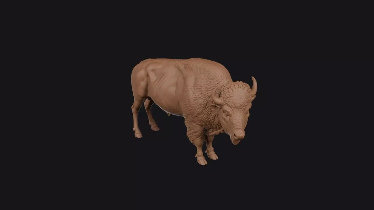 Bison 3D print model