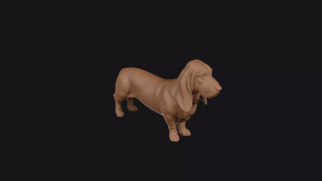 Basset Hound 3D print model