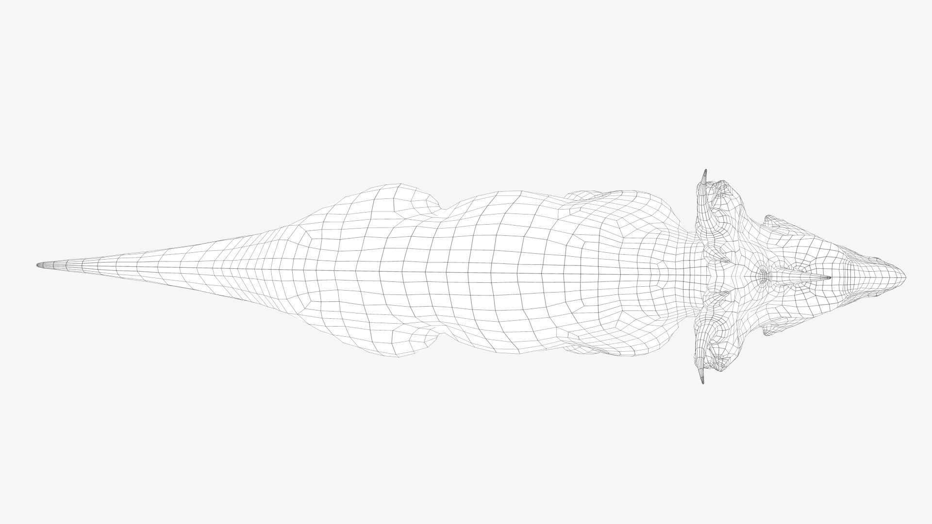 Pachyrhinosaurus triceratops Low-poly 3D model_7