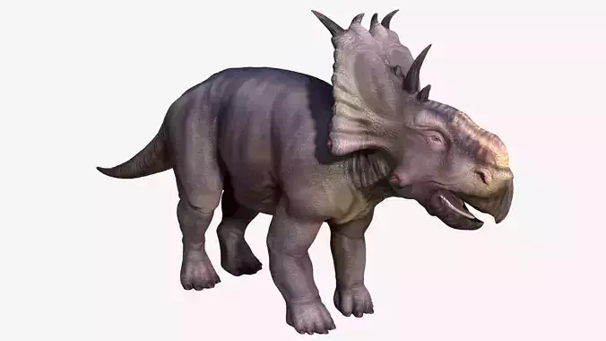 Pachyrhinosaurus triceratops Low-poly 3D model
