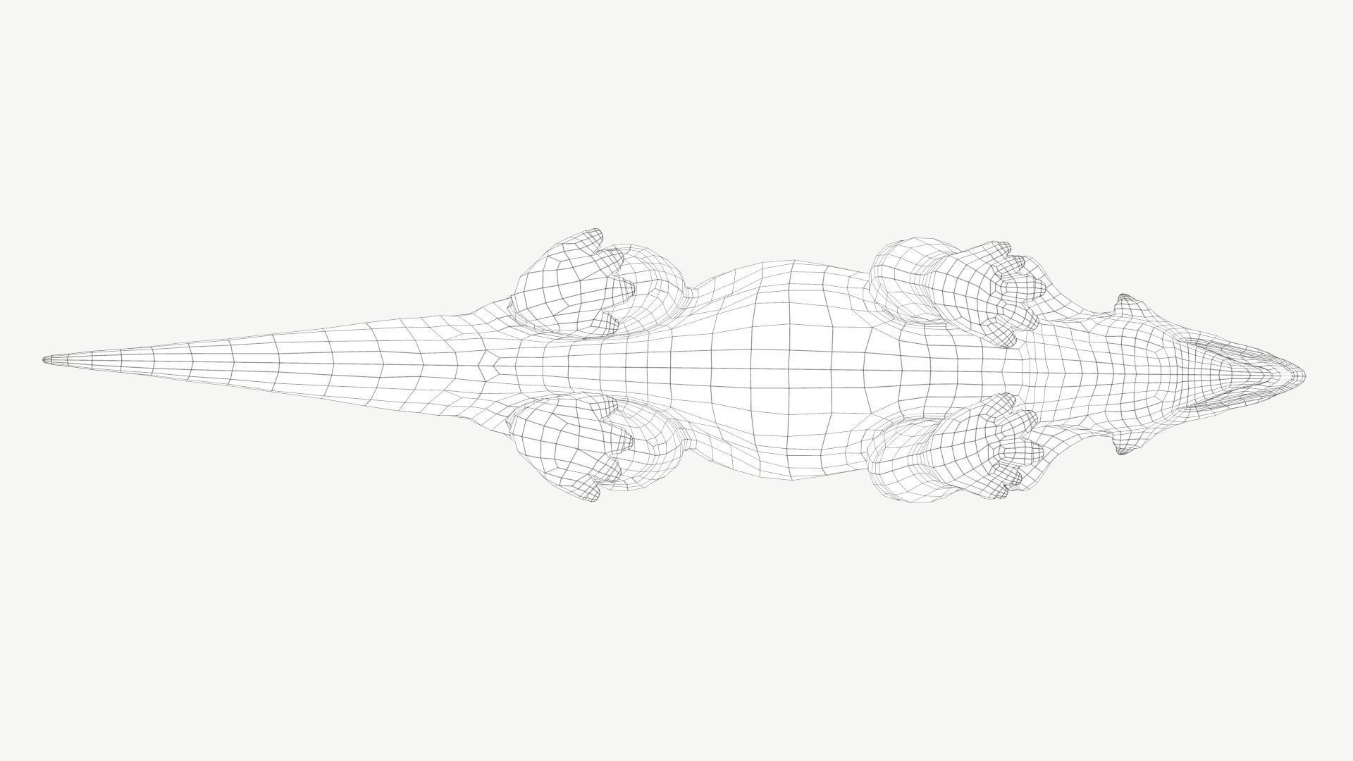 Pachyrhinosaurus triceratops Low-poly 3D model_11