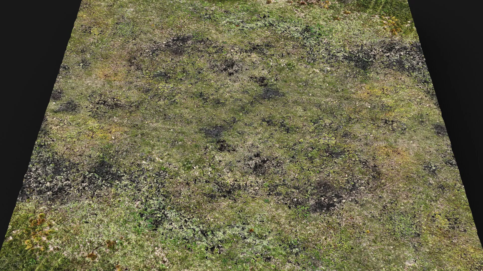 terrain ground grass bushes patch pt8 PBR photogrammetry Low-poly 3D model