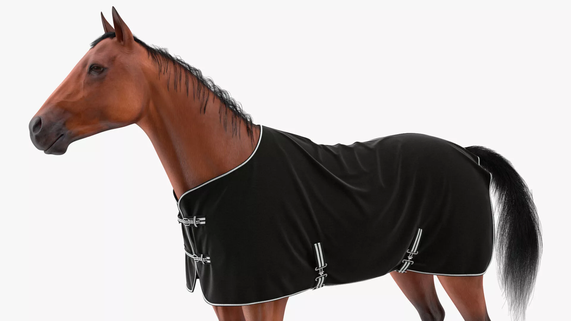 Fleece Horse Blanket Black on Horse Fur 3D model