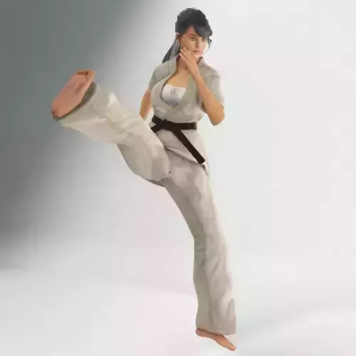 Karate Lady 3D model