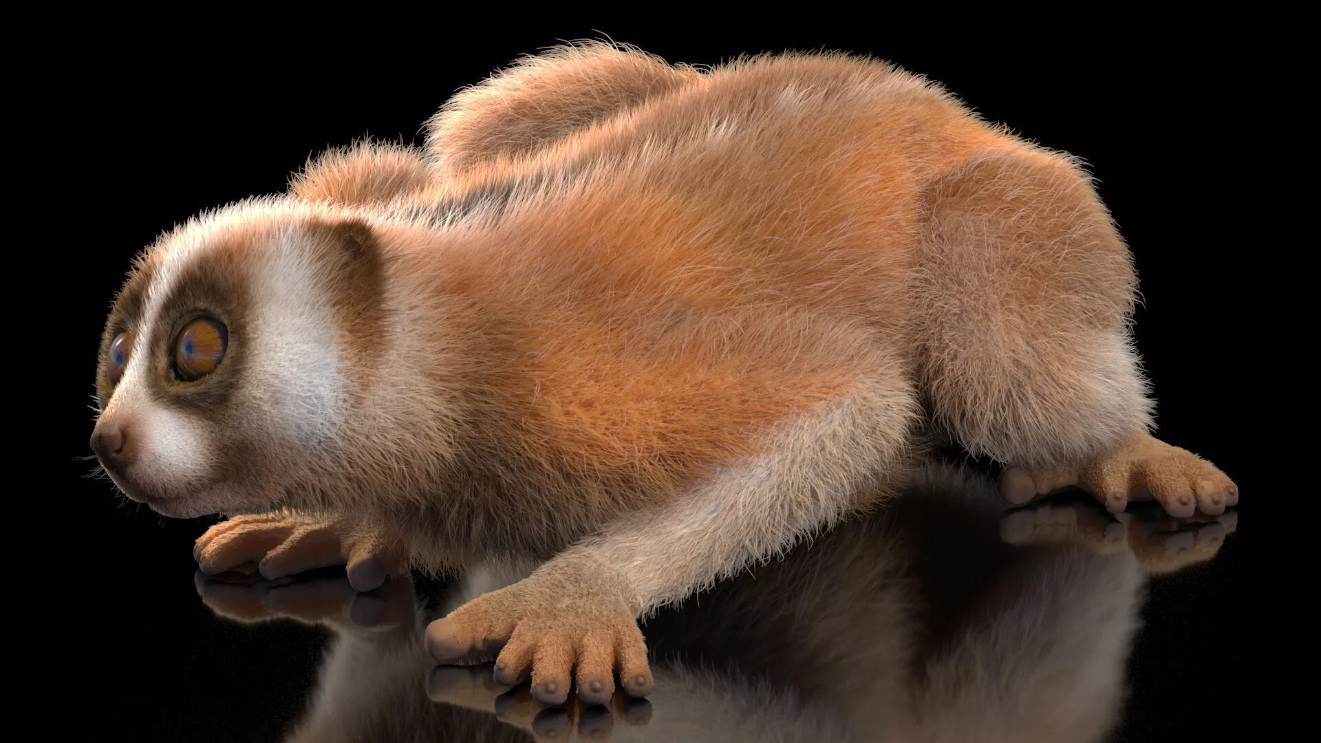 Pygmy Slow Loris Fur 3D model
