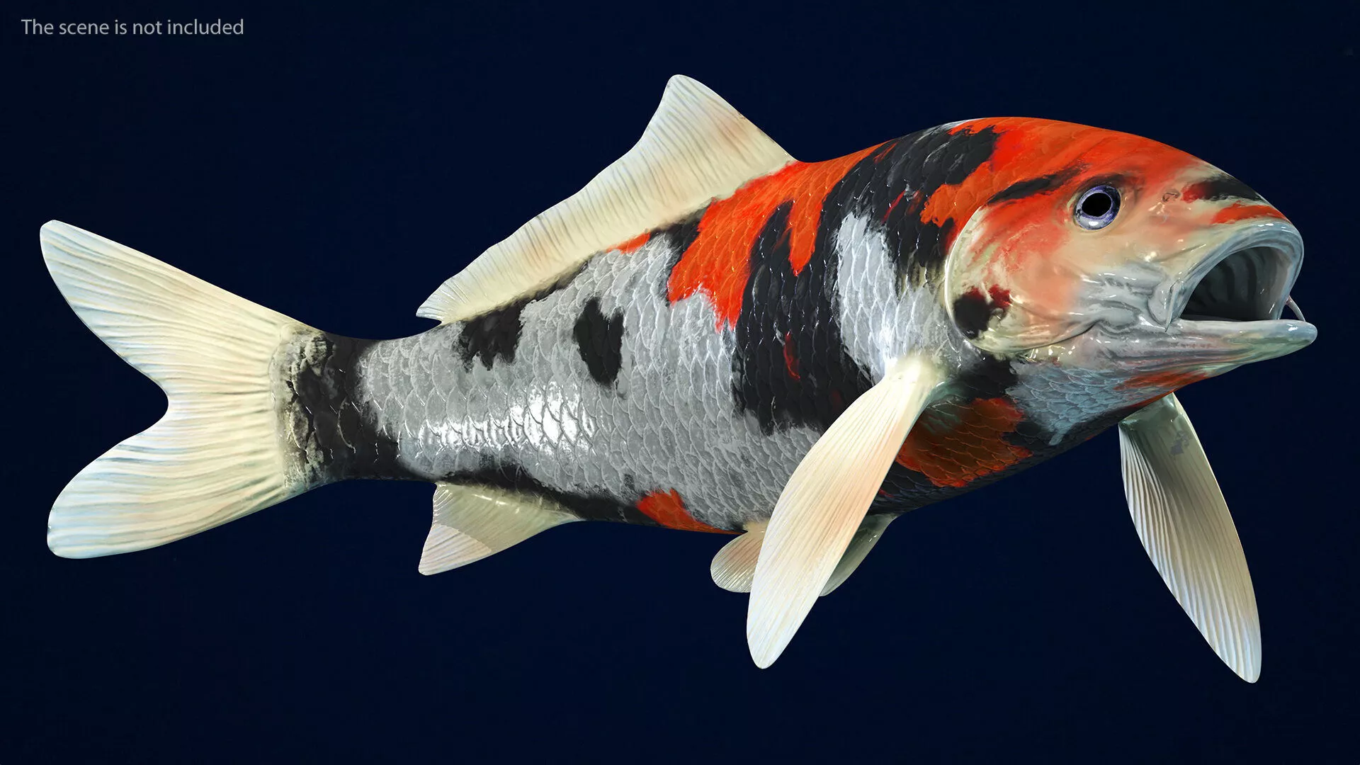 Harivake Koi Fish Rigged 3D model