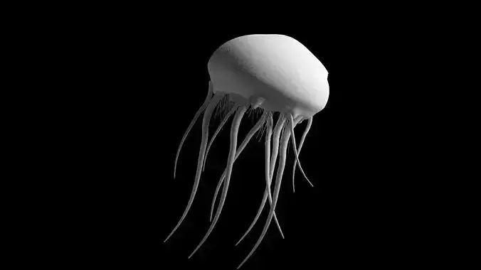 Jellyfish rigged animated 3D model  3D model