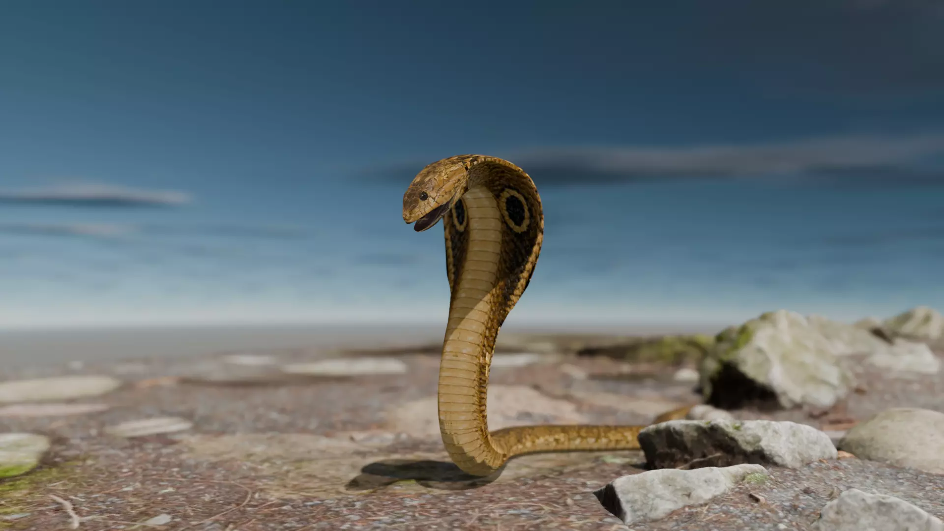 Indian Cobra Naja naja Realistic Model 3D model