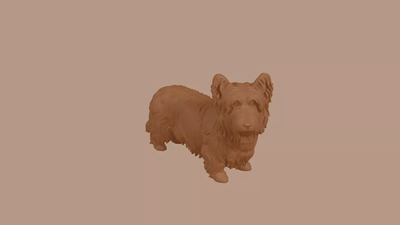 Skye Terrier 3D print model