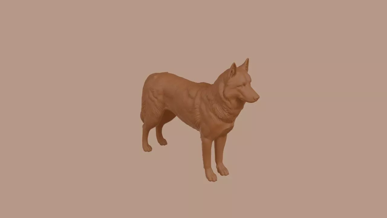 Siberian Husky 3D print model