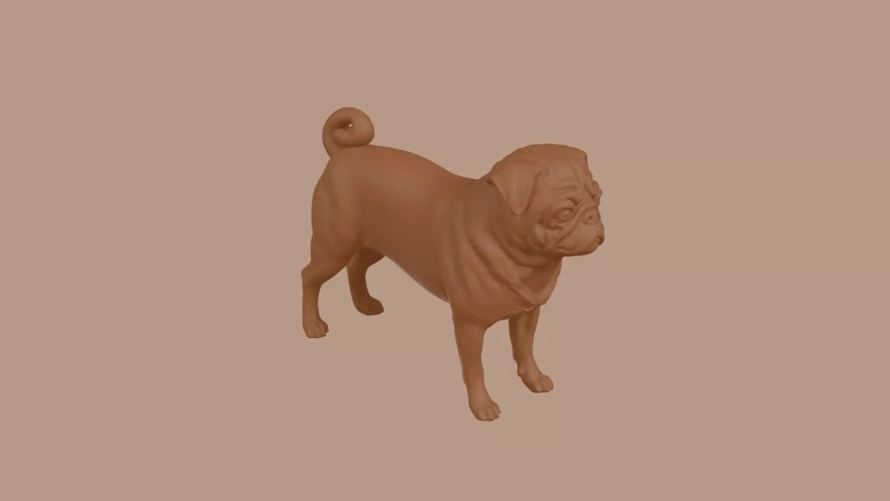 Pug Dog 3D print model