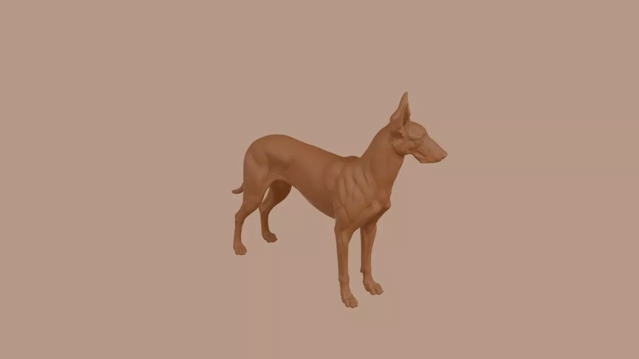 Pharaoh Hound 3D print model