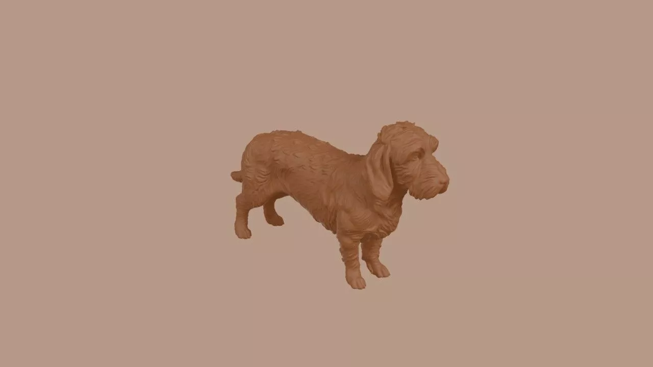 Petit Basset Griffon Vendeen 3D print model