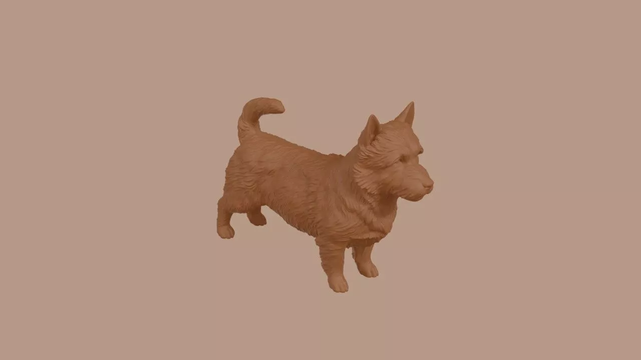 Norwich Terrier 3D print model
